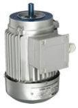 Three Phase Motors