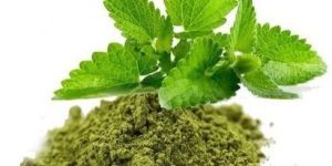 Organic Tulsi Powder