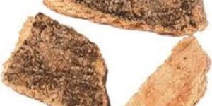 Varun Bark Crataeva Nurvala