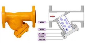 Y Type Strainer