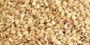 Natural Sesame Seeds