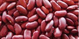 Rajma