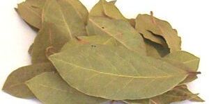 Bay Leaf