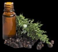 Herbal Scalp Conditioner