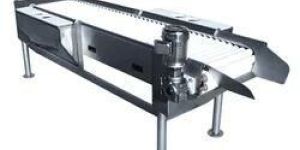 Stainless Steel Conveyors
