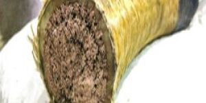 Cables for Steel Plant