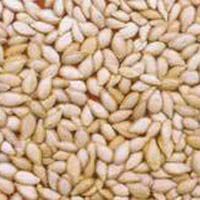 Vegetables Seeds and Food Grain and Pluses