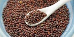 Mustard Seeds