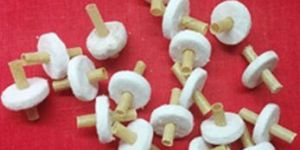 Ferrule Washer Assembly