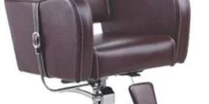 Salon Chair