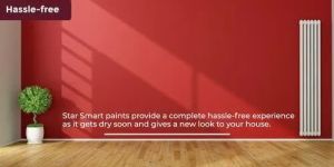 Decorative Wall Paint