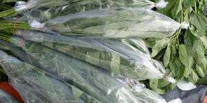 Jute Leaves (Pat Shak)