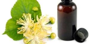 Tilia Flower Oil