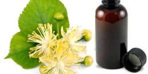 Tillia Flower Oil