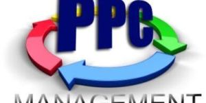 PPC Services Consultants