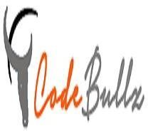 Software Developmet Service