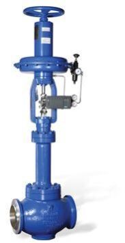Globe 2 Way Control Valve