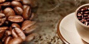 Fresh Roasted Coffee Beans