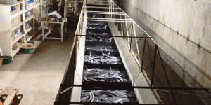 SCRAP AND CHIP HANDLING CONVEYOR