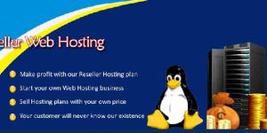 Linux Reseller Hosting