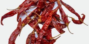 Dry Red Chilli