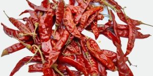 Guntur Dry Red Chilli