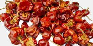 Red Chilli