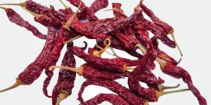 Red Dry Chilli