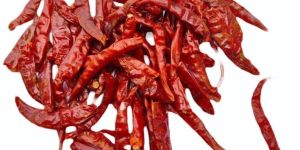 Stemless Red Chilli