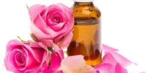 Rose Oil