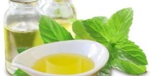 Menthol Oil