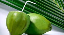 Tender Coconut Water