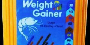 Weight Gainer