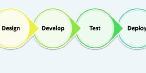 Software Development Services