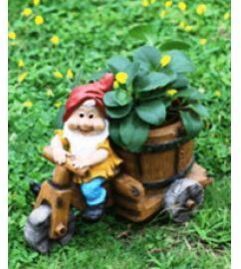 Wonderland Gnome Riding Bike with Flower Pot