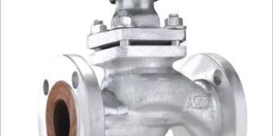 Industrial Piston Valves