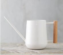 Wood Plant Watering Can