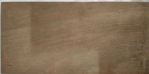 Container Flooring Plywood Board