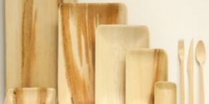 Disposable Tableware