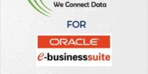 Oracle Enterprise Integration Services
