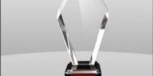 Crystal Glass Award