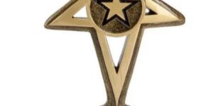 Shield Award Trophies