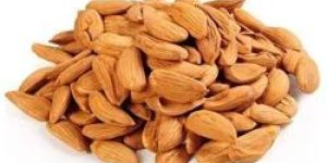 Dried Almond Nuts