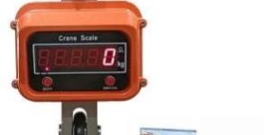 Printer Indicator Crane Scale