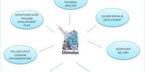 Stimulus Training Approach