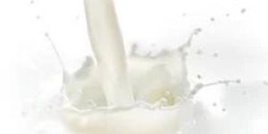 UHT Milk