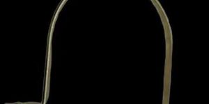 Stainless Steel U Clamp