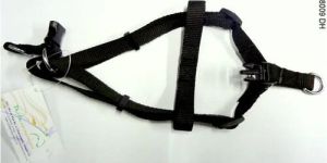 Dog Harness