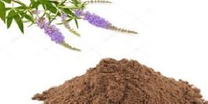 Vitex Agnus Extract