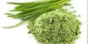 Wheat Grass Powder
